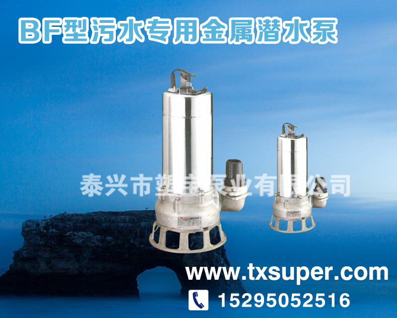 镇江BF型污水专用金属潜水泵